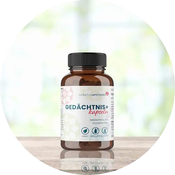 Gedächtnis+